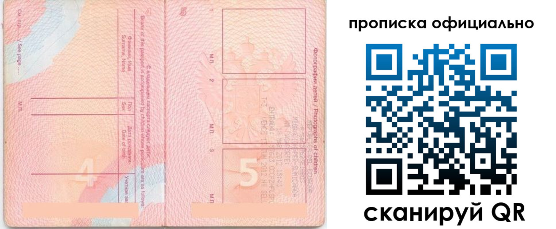 прописка для школы в Кудрово